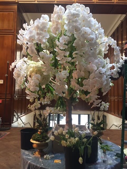 White Flower Tree